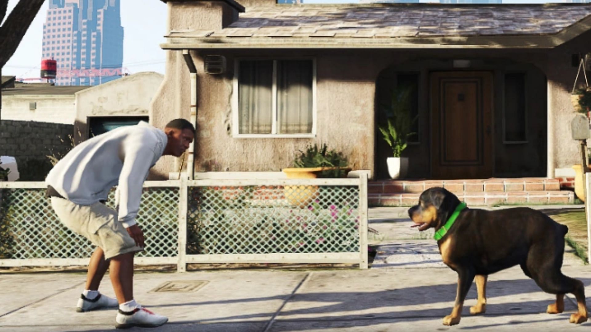 Many fans want to pet dogs in GTA Online (Image via Rockstar Games)